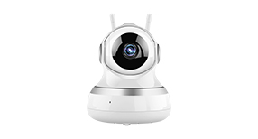 IP Camera